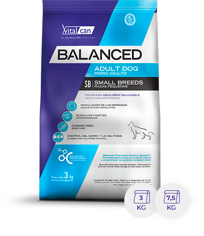 perro-adulto-raza-pequena-pack