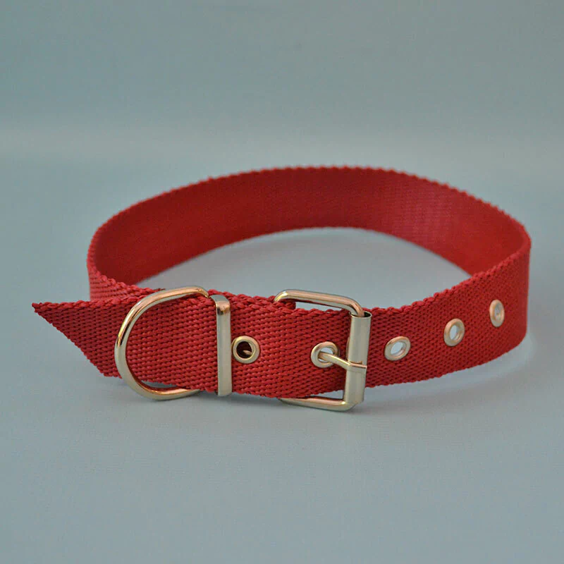 collar-liso-t3-4-8fa595e9ac376c89ba17355844157240-1024-1024